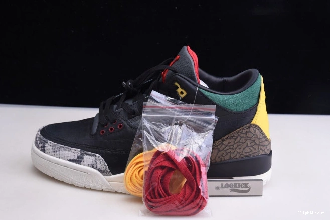 Jordan Retro Instinct CV3583-003 - Animal Air 2.0 3 SE 0809